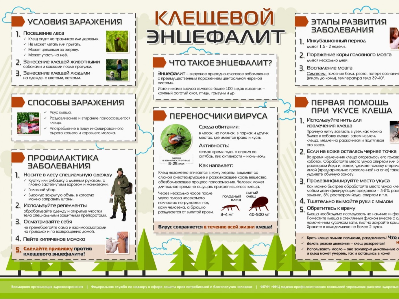 Способы профилактики присасывания клещей.